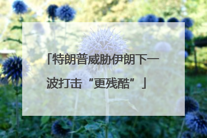 特朗普威胁伊朗下一波打击“更残酷”