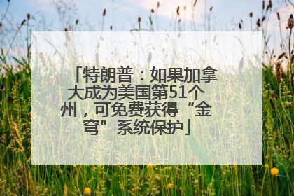 特朗普：如果加拿大成为美国第51个州，可免费获得“金穹”系统保护