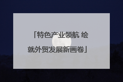 特色产业领航 绘就外贸发展新画卷