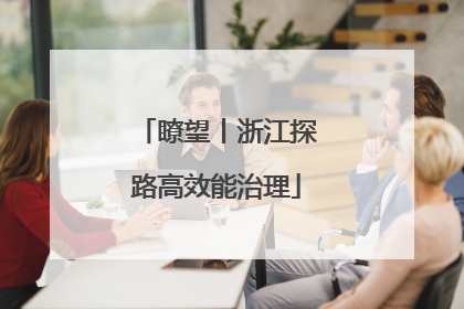 瞭望丨浙江探路高效能治理