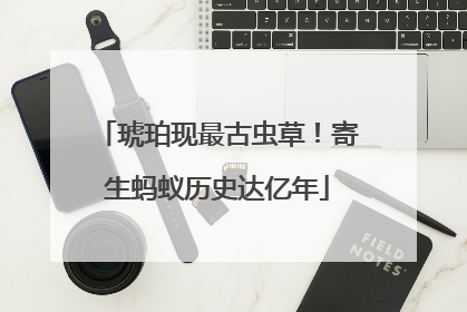 琥珀现最古虫草！寄生蚂蚁历史达亿年