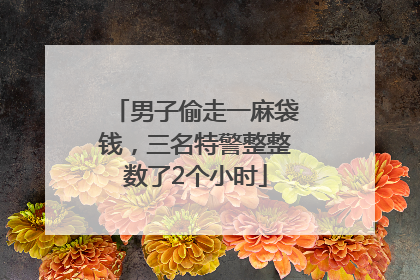 男子偷走一麻袋钱，三名特警整整数了2个小时