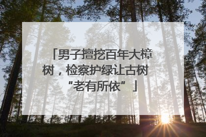 男子擅挖百年大樟树，检察护绿让古树“老有所依”