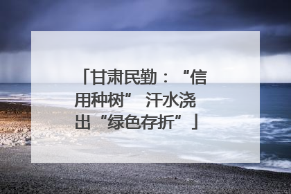 甘肃民勤：“信用种树” 汗水浇出“绿色存折”