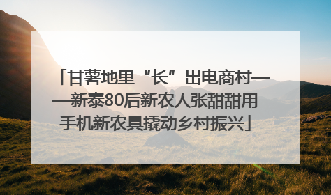 甘薯地里“长”出电商村——新泰80后新农人张甜甜用手机新农具撬动乡村振兴