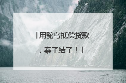 用鸵鸟抵偿货款，案子结了！