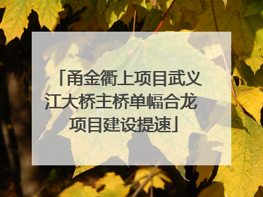 甬金衢上项目武义江大桥主桥单幅合龙 项目建设提速