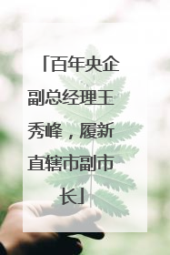 百年央企副总经理王秀峰，履新直辖市副市长