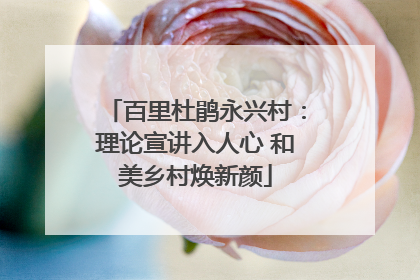 百里杜鹃永兴村：理论宣讲入人心 和美乡村焕新颜