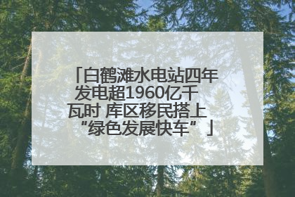 白鹤滩水电站四年发电超1960亿千瓦时 库区移民搭上“绿色发展快车”