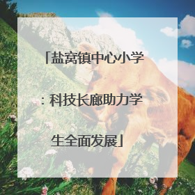 盐窝镇中心小学：科技长廊助力学生全面发展