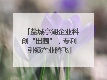 盐城亭湖企业科创“出圈”，专利引领产业腾飞