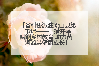 省科协派驻梁山县第一书记——三措并举 赋能乡村教育 助力黄河滩娃健康成长