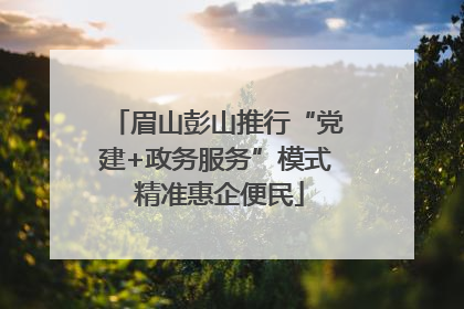 眉山彭山推行“党建+政务服务”模式 精准惠企便民