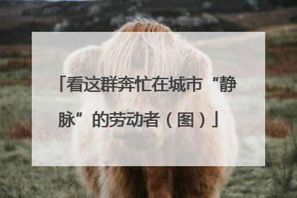 看这群奔忙在城市“静脉”的劳动者（图）