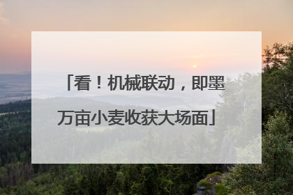 看！机械联动，即墨万亩小麦收获大场面