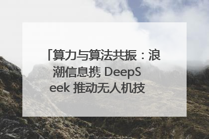 算力与算法共振：浪潮信息携 DeepSeek 推动无人机技术在舟山落地