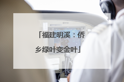 福建明溪：侨乡绿叶变金叶