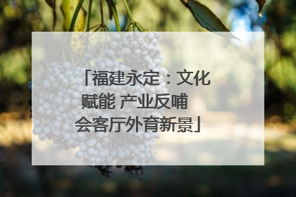 福建永定：文化赋能 产业反哺 会客厅外育新景