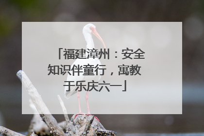 福建漳州：安全知识伴童行，寓教于乐庆六一