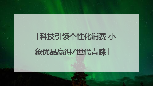 科技引领个性化消费 小象优品赢得Z世代青睐