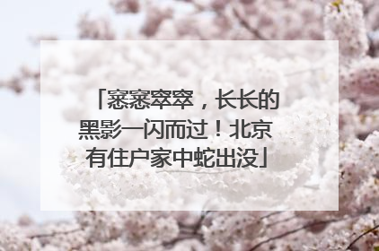 窸窸窣窣，长长的黑影一闪而过！北京有住户家中蛇出没