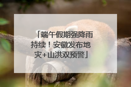 端午假期强降雨持续！安徽发布地灾+山洪双预警