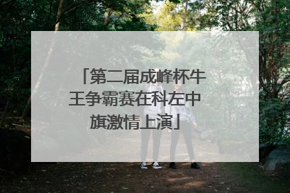 第二届成峰杯牛王争霸赛在科左中旗激情上演