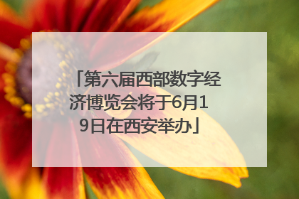第六届西部数字经济博览会将于6月19日在西安举办