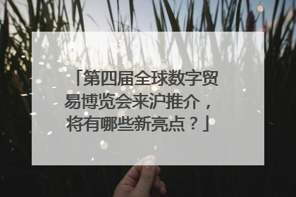 第四届全球数字贸易博览会来沪推介，将有哪些新亮点？