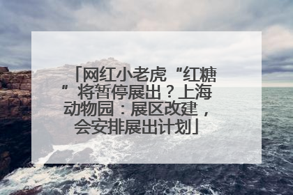 网红小老虎“红糖”将暂停展出？上海动物园：展区改建，会安排展出计划
