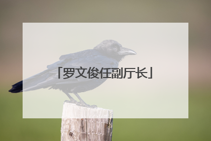 罗文俊任副厅长