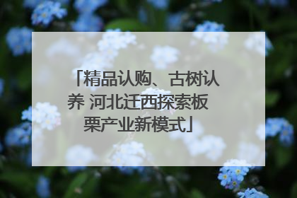 精品认购、古树认养 河北迁西探索板栗产业新模式