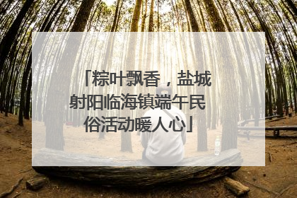 粽叶飘香，盐城射阳临海镇端午民俗活动暖人心