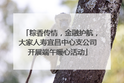 粽香传情，金融护航，大家人寿宜昌中心支公司开展端午暖心活动