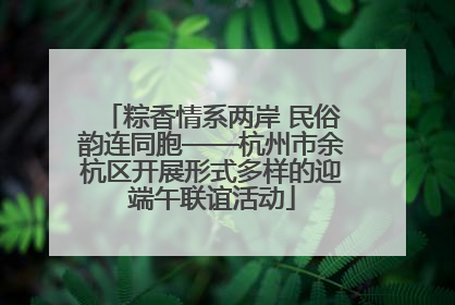粽香情系两岸 民俗韵连同胞——杭州市余杭区开展形式多样的迎端午联谊活动