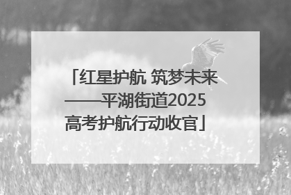 红星护航 筑梦未来——平湖街道2025高考护航行动收官