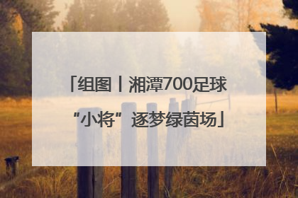 组图丨湘潭700足球“小将”逐梦绿茵场