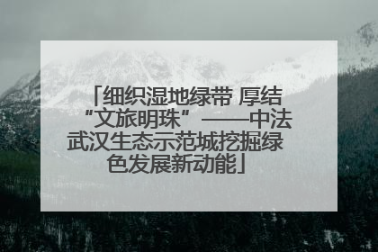 细织湿地绿带 厚结“文旅明珠”——中法武汉生态示范城挖掘绿色发展新动能