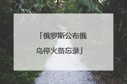 俄罗斯公布俄乌停火备忘录