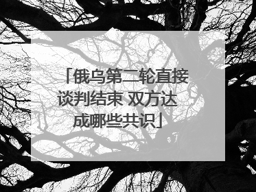 俄乌第二轮直接谈判结束 双方达成哪些共识