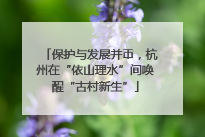 保护与发展并重，杭州在“依山理水”间唤醒“古村新生”