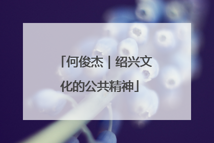 何俊杰｜绍兴文化的公共精神