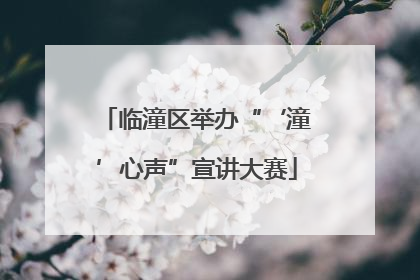 临潼区举办“‘潼’心声”宣讲大赛