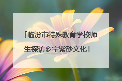 临汾市特殊教育学校师生探访乡宁紫砂文化