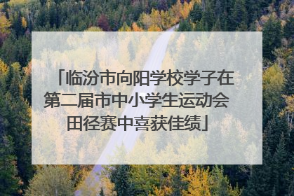 临汾市向阳学校学子在第二届市中小学生运动会田径赛中喜获佳绩