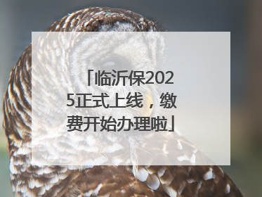 临沂保2025正式上线，缴费开始办理啦