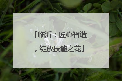 临沂：匠心智造，绽放技能之花