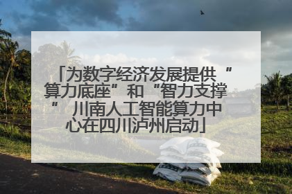 为数字经济发展提供“算力底座”和“智力支撑” 川南人工智能算力中心在四川泸州启动