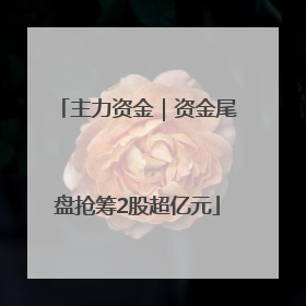 主力资金｜资金尾盘抢筹2股超亿元
